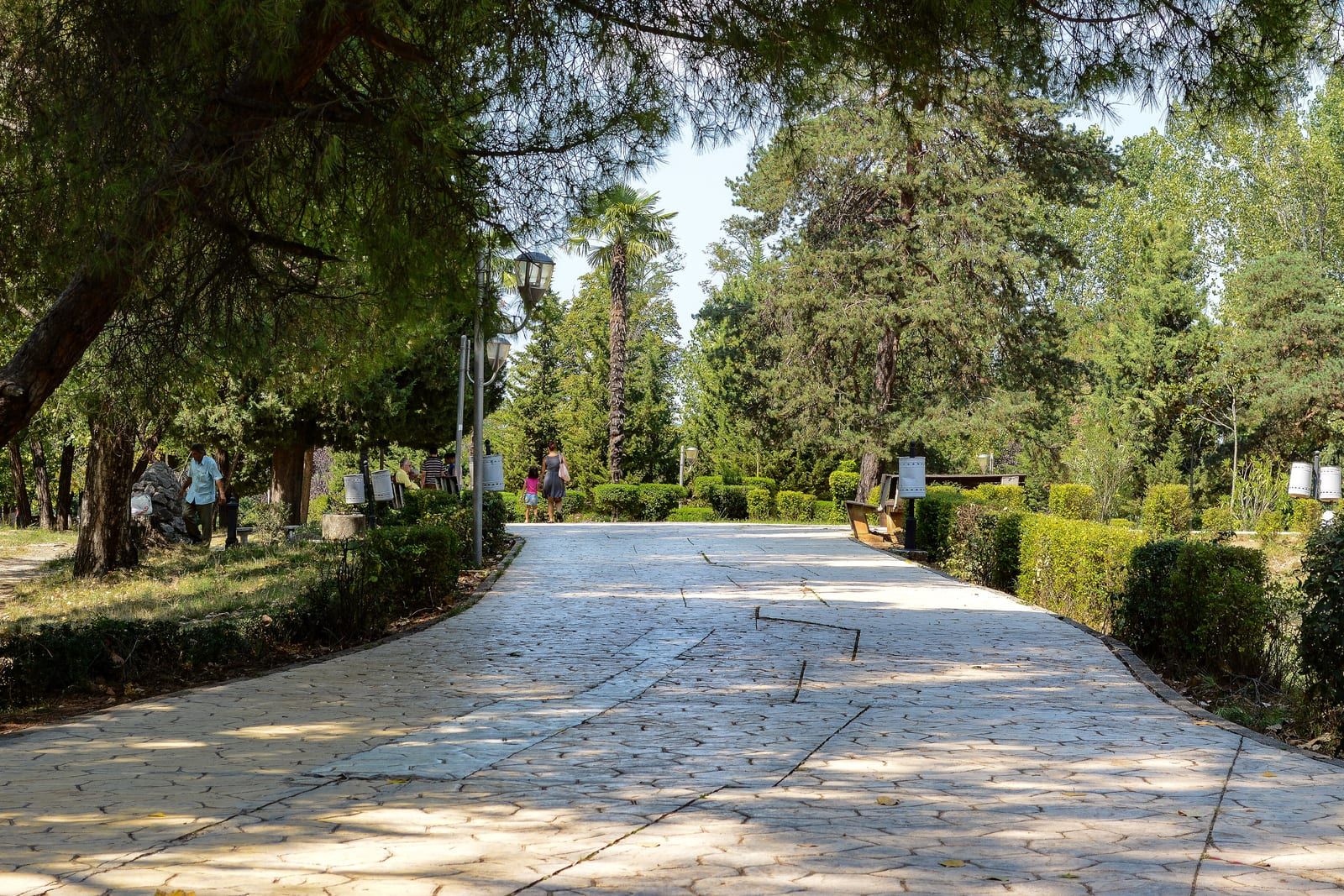 A tree-shaded promenade in the Grand Park of Tirana